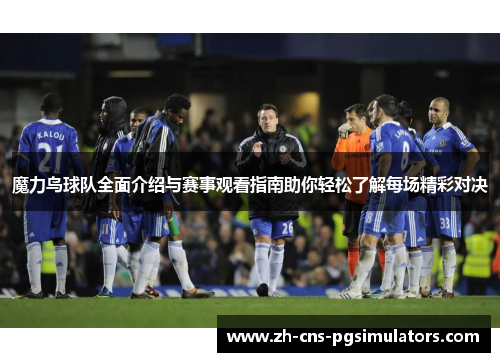 魔力鸟球队全面介绍与赛事观看指南助你轻松了解每场精彩对决