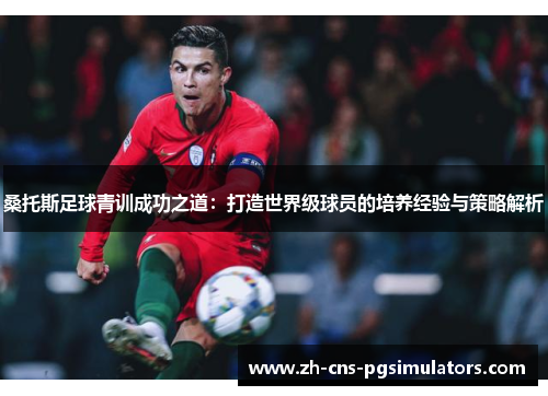 桑托斯足球青训成功之道：打造世界级球员的培养经验与策略解析